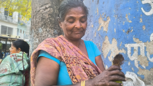 सीता मण्डल: मकै पोल्दै बिक्री गर्छिन्।